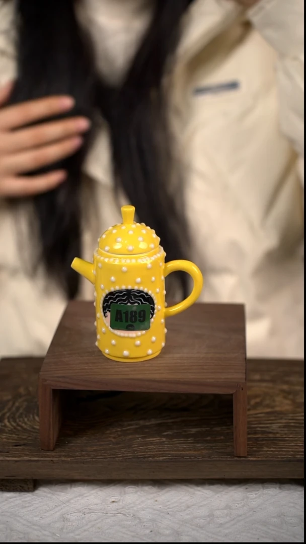 【闪购商品】陶瓷壶刺刺壶189