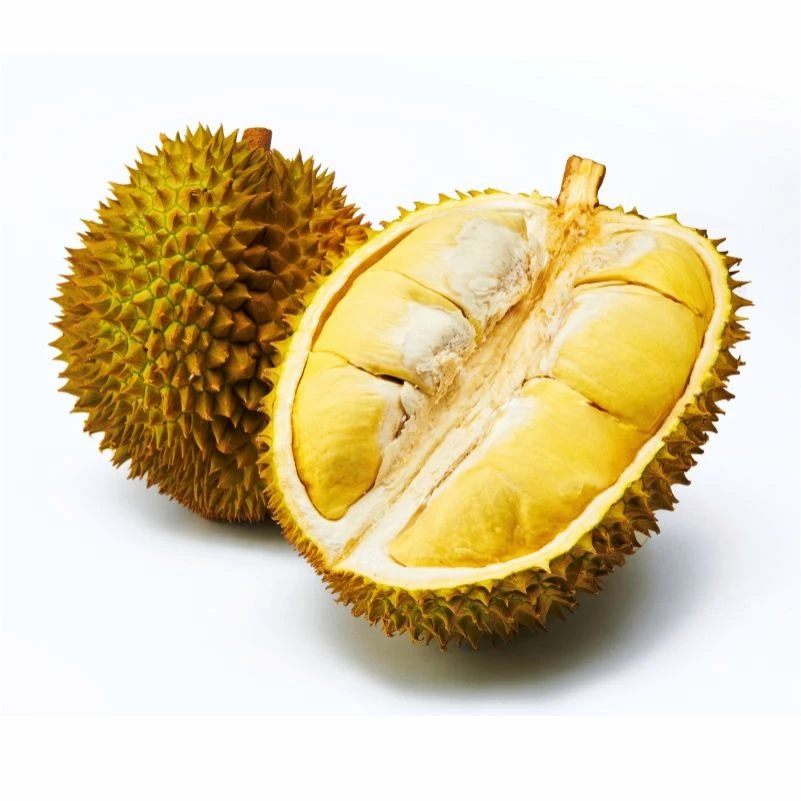 【金华八大县专拍】次日达~金枕树榴莲A级果