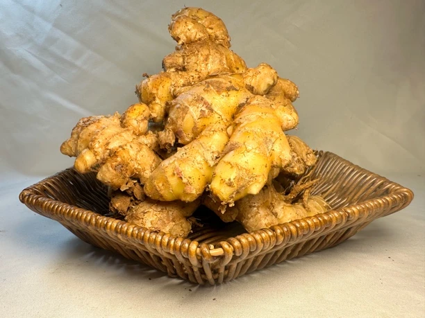 云贵高原土特产【小黄姜】