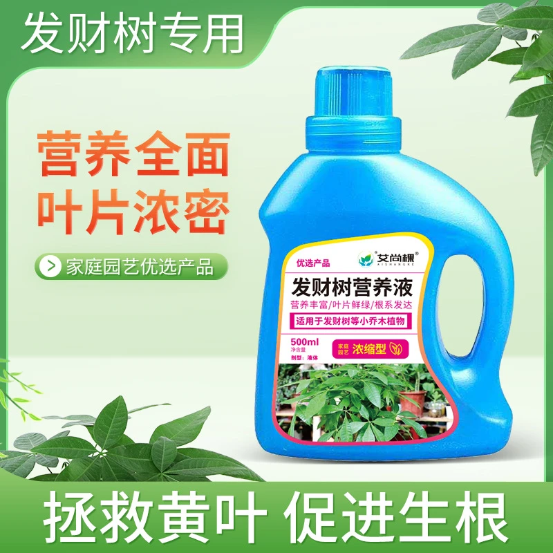 【浓缩大容量】发财树营养液植物营养液治黄叶焦尖起斑烂根催根绿叶