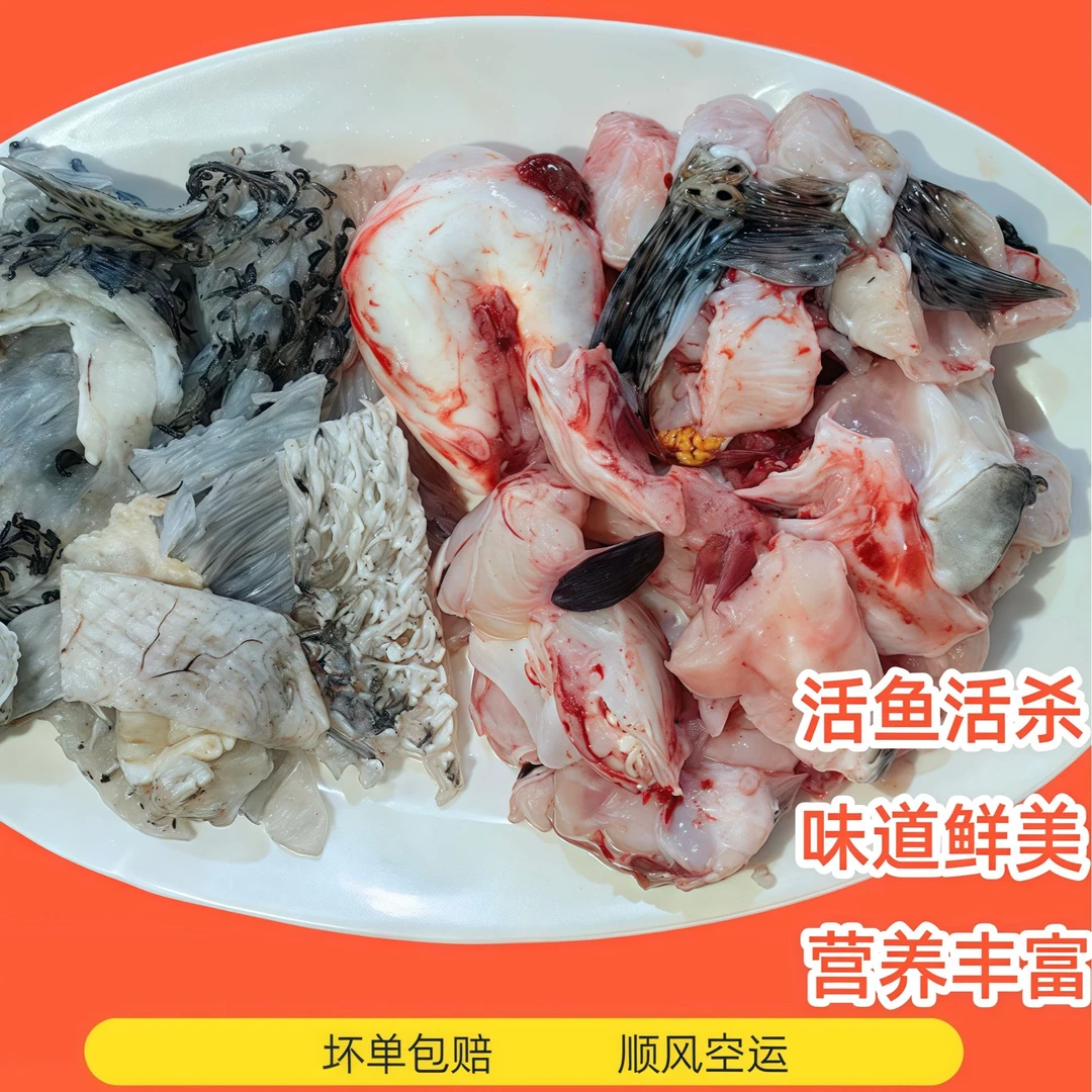 刺鲍鱼/刺龟鱼 3斤装 鲜活处理 一斤一盒 健康美味