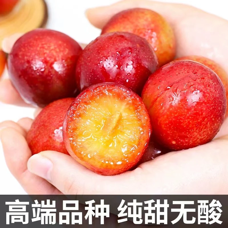 樱桃李 300-350g李子同城送