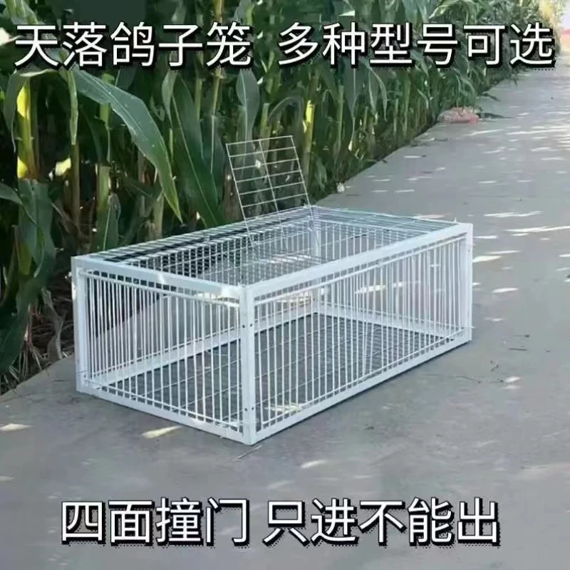 【星涛户外】养殖自动天落笼撞门笼防锈工厂加密鸡子笼收鸽笼进鸽子