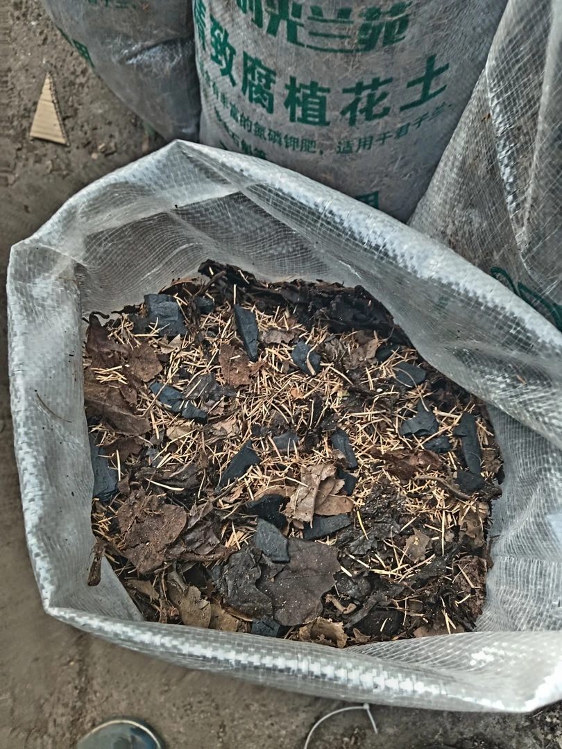 大块精致专业适用君子兰腐叶土