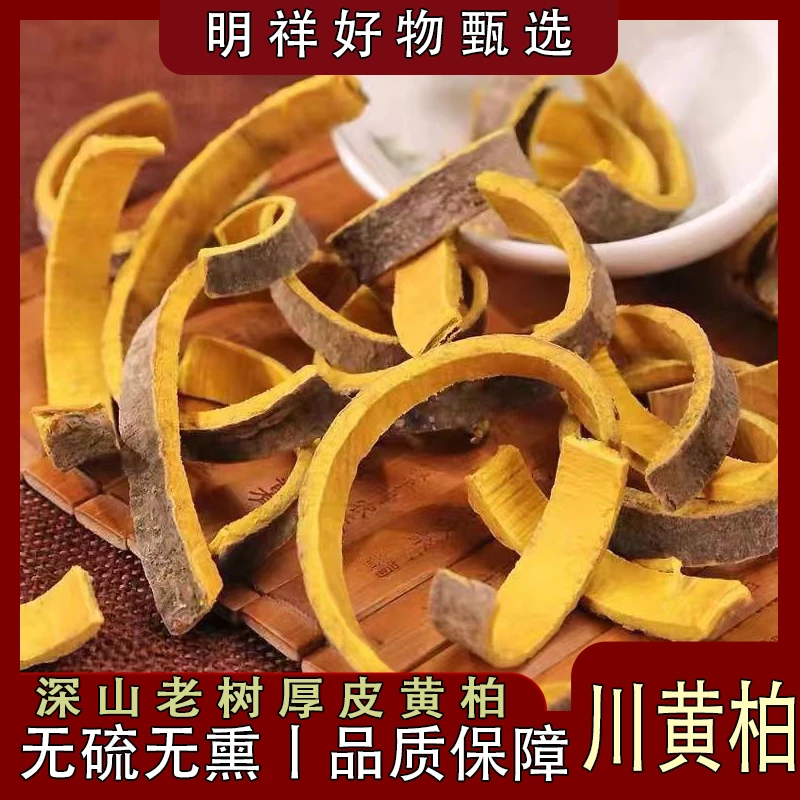 【明祥甄选】正宗 川黄柏中药材 四川黄柏树皮川黄柏皮搭 枸杞 泡水