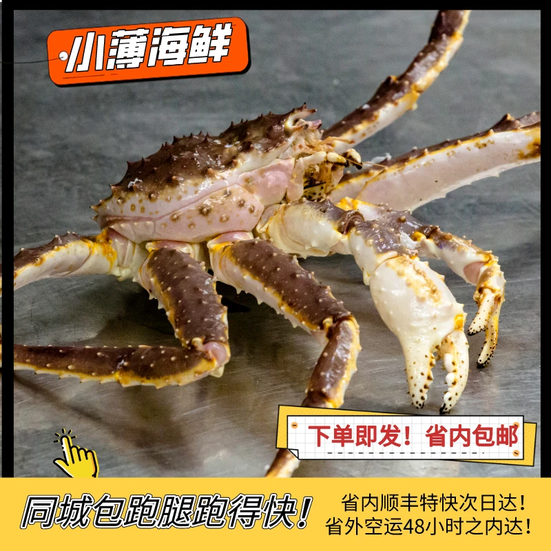鲜活帝王蟹【现场称重】4-6斤左右保鲜不包活