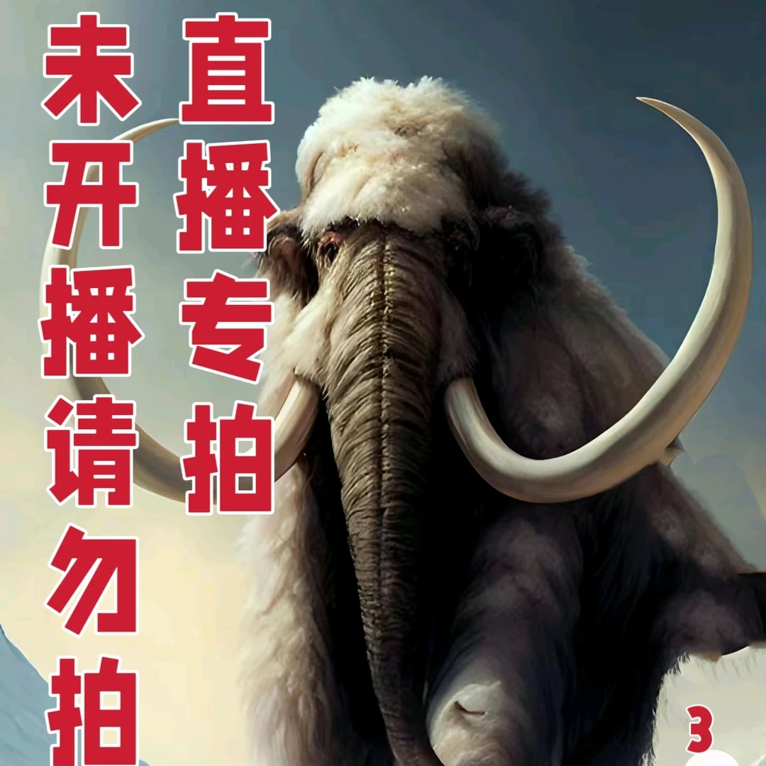 猛犸牙冰料文玩配饰3