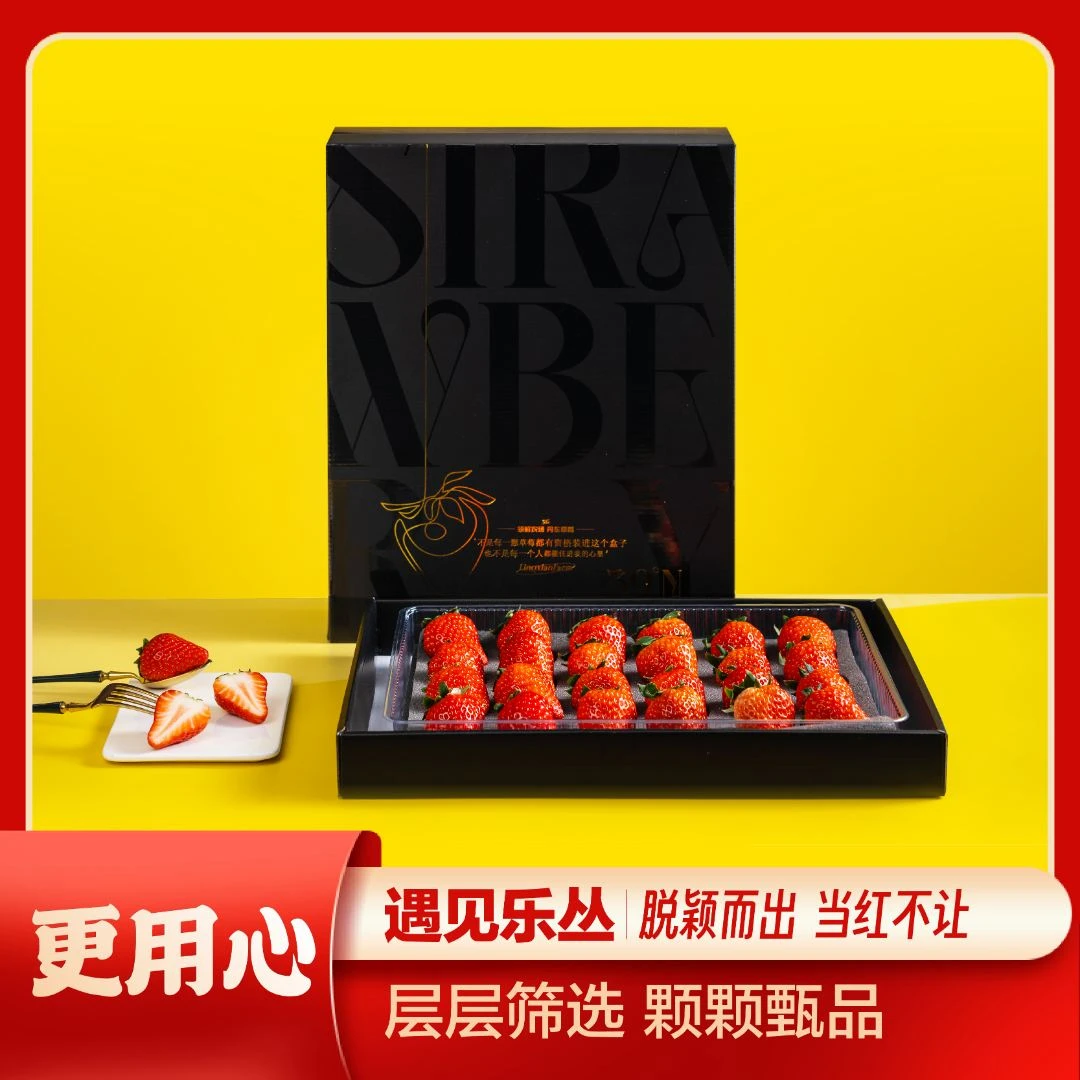 「牛奶草莓」正宗丹东九九红颜奶油大草莓核心产区顺丰空运现摘现发