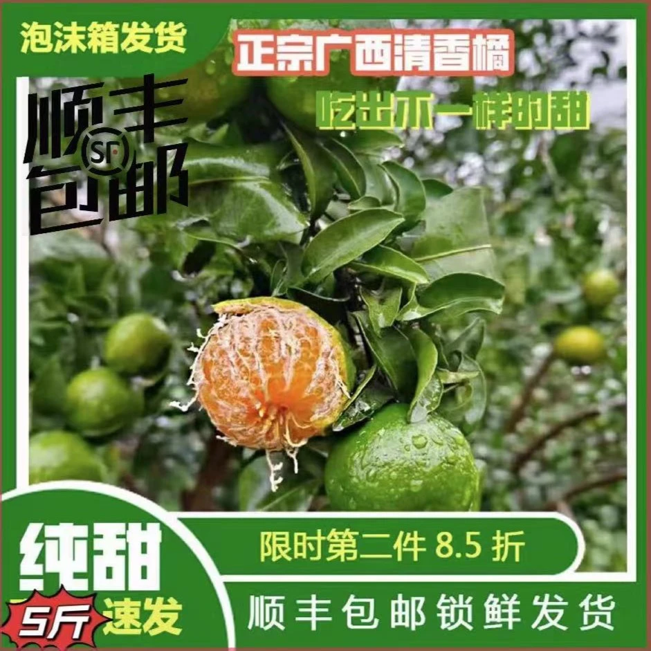 顺丰包邮【比砂糖橘更好吃】广西清香蜜桔正宗茶橘纯甜薄青皮新鲜