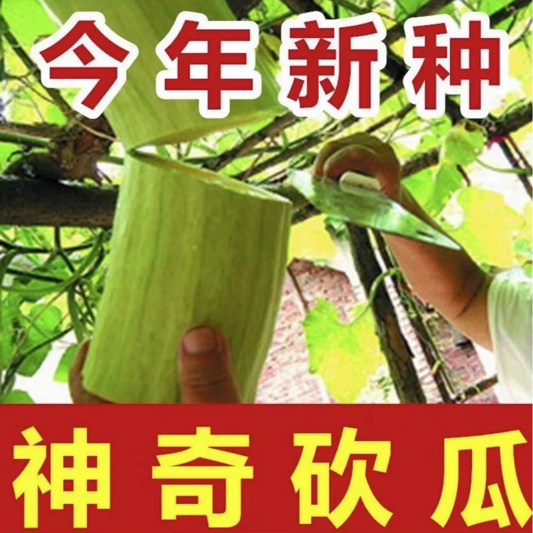 【神奇砍瓜】今年新种四季种孑南瓜爬藤瓜果种子菜籽蔬菜种子