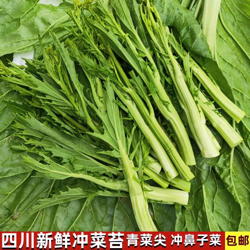 四川新鲜冲菜苔冲鼻苔青菜苔蔬菜芥菜尖菜心现在棒菜尖1/3/5斤