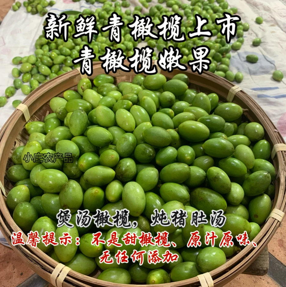 2024农户现摘青橄榄青果潮汕青橄榄新鲜油甘橄榄煲汤泡茶炖猪肚