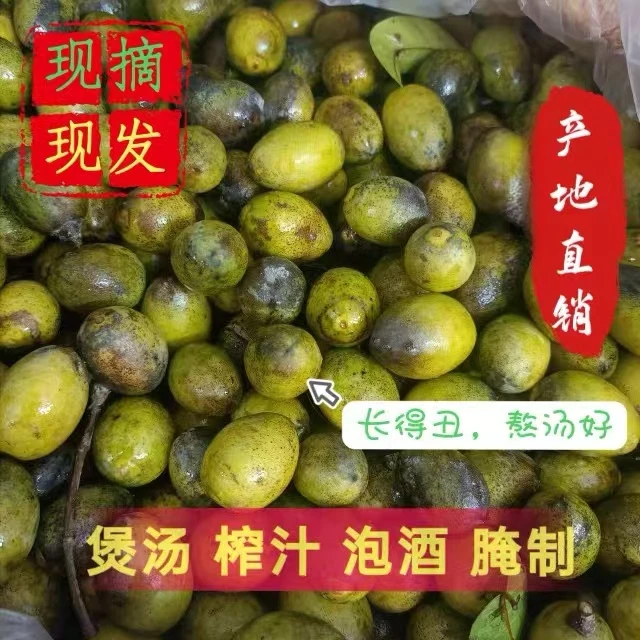广东潮汕老树花皮橄榄 新鲜采摘青橄榄适合煲汤泡酒榨汁现摘水果
