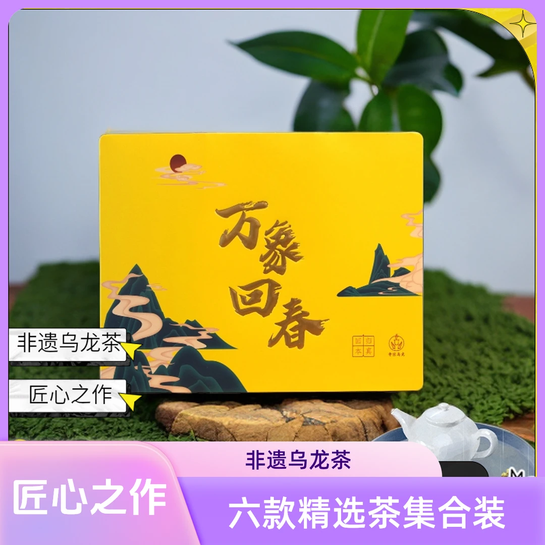 非遗传承人监制闽南乌龙手艺茶送礼匠心安溪清香型浓香型
