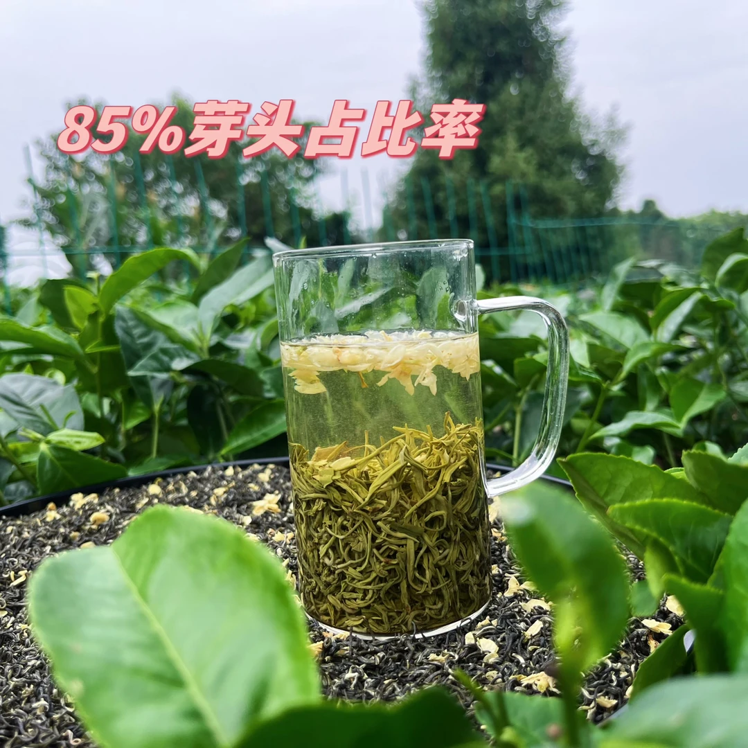 2025芯子飘雪 新茶蒙顶山茶茉莉花茶浓香耐泡型五泡