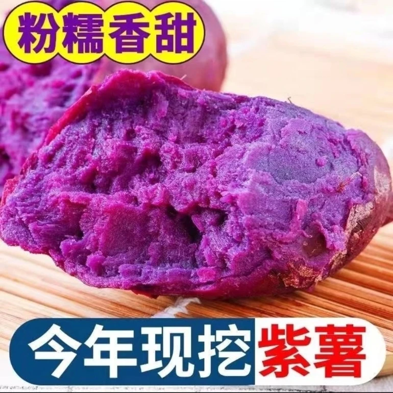 新鲜紫薯5/9斤24年广西当季现挖紫罗兰番薯软糯香甜紫心红薯0脂肪