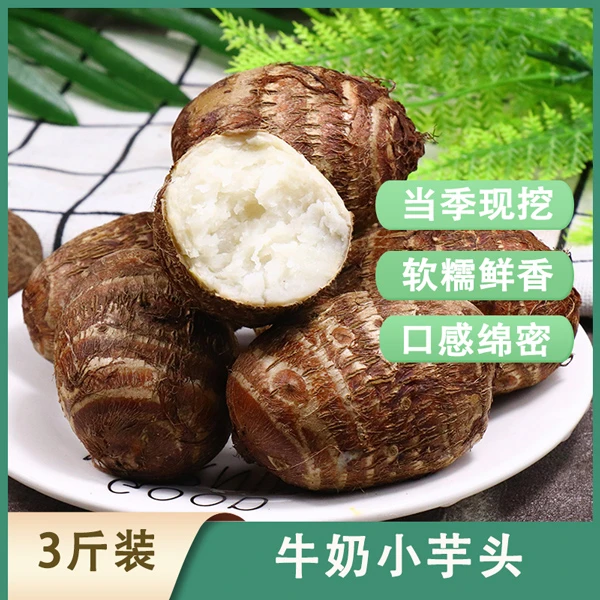 云南牛奶小芋头3/5斤装新鲜现挖香甜软糯