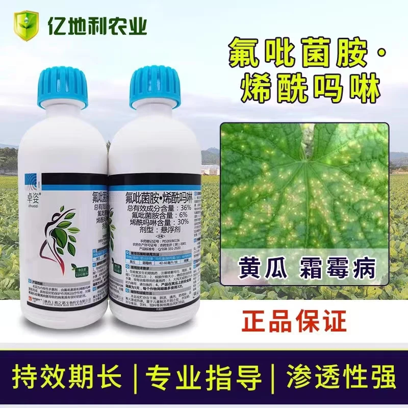 上格卓姿36%氟吡菌胺·烯酰吗啉霜霉病杀菌剂