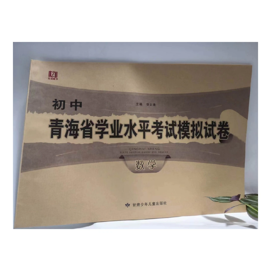 青海省初中学业水平考试模拟试卷数学（会员8折）