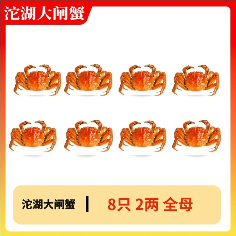 m2/8【活蟹】 2.0两 全母 8只 精挑蟹 实现大闸蟹自由。