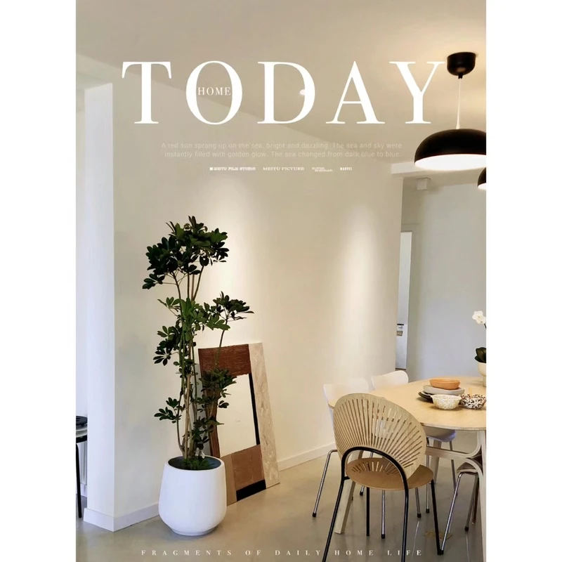 鸭脚木网红盆栽净化空气造型客厅绿植落地真花鸭掌木室内大型植物