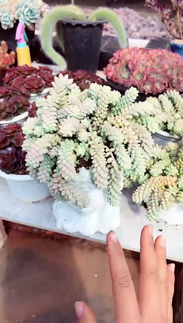 【闪购商品】大彩虹玉坠