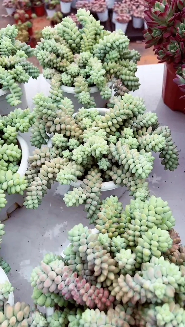 【闪购商品】彩虹玉坠