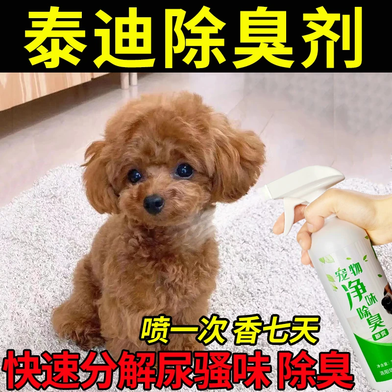 泰迪除臭喷雾狗狗除臭剂去尿味室内杀菌宠物去味剂去异味持久留香