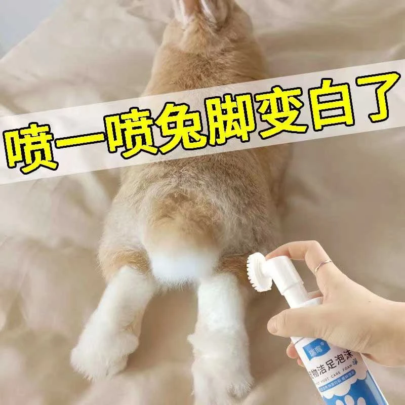 兔子脚底去黄兔子干洗泡沫清洁用品免洗幼兔兔兔洗脚宠物洁足泡泡