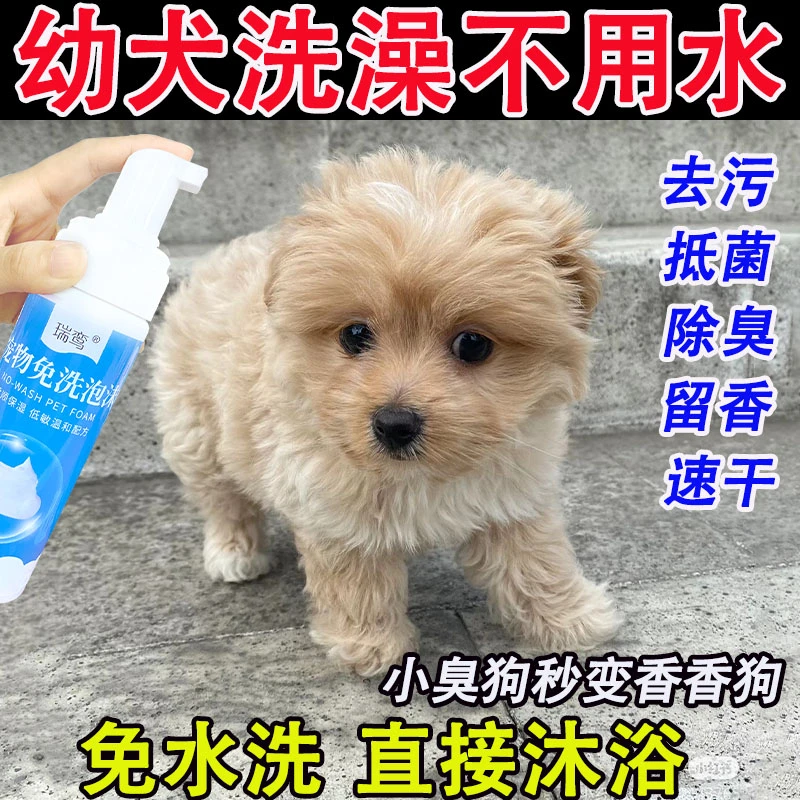 宠物沐浴露抑菌杀螨去虱狗狗除臭剂幼犬猫咪洗澡神器干洗泡沫免洗