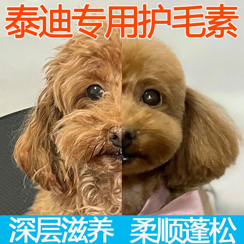 泰迪专用护毛素柔顺蓬松固色不打结不掉毛宠物必备护毛素持久留香