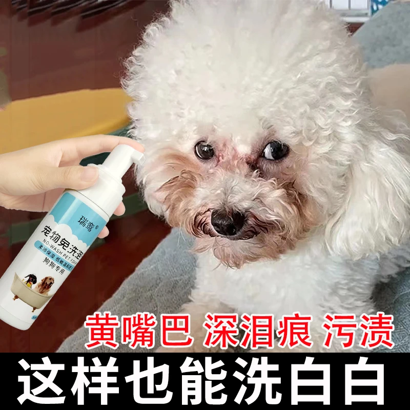 比熊干洗泡沫免洗狗狗白毛去黄去泪痕红胡子美白去脏宠物清洁用品