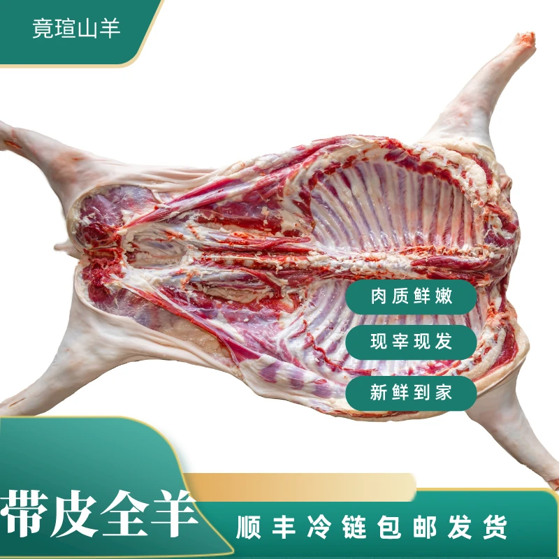 -/竟瑄【爆款】半羊10斤全羊20斤散养山羊新鲜草饲带皮90%腿排整扇