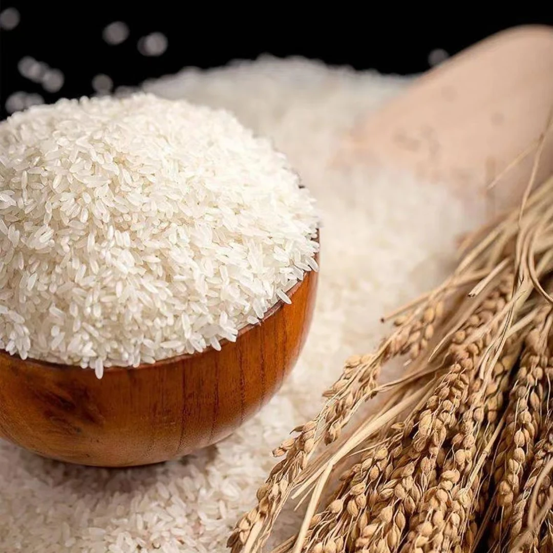 【2025农家新米】四川长粒香米生态大米长谷新米小香米无抛光无打蜡