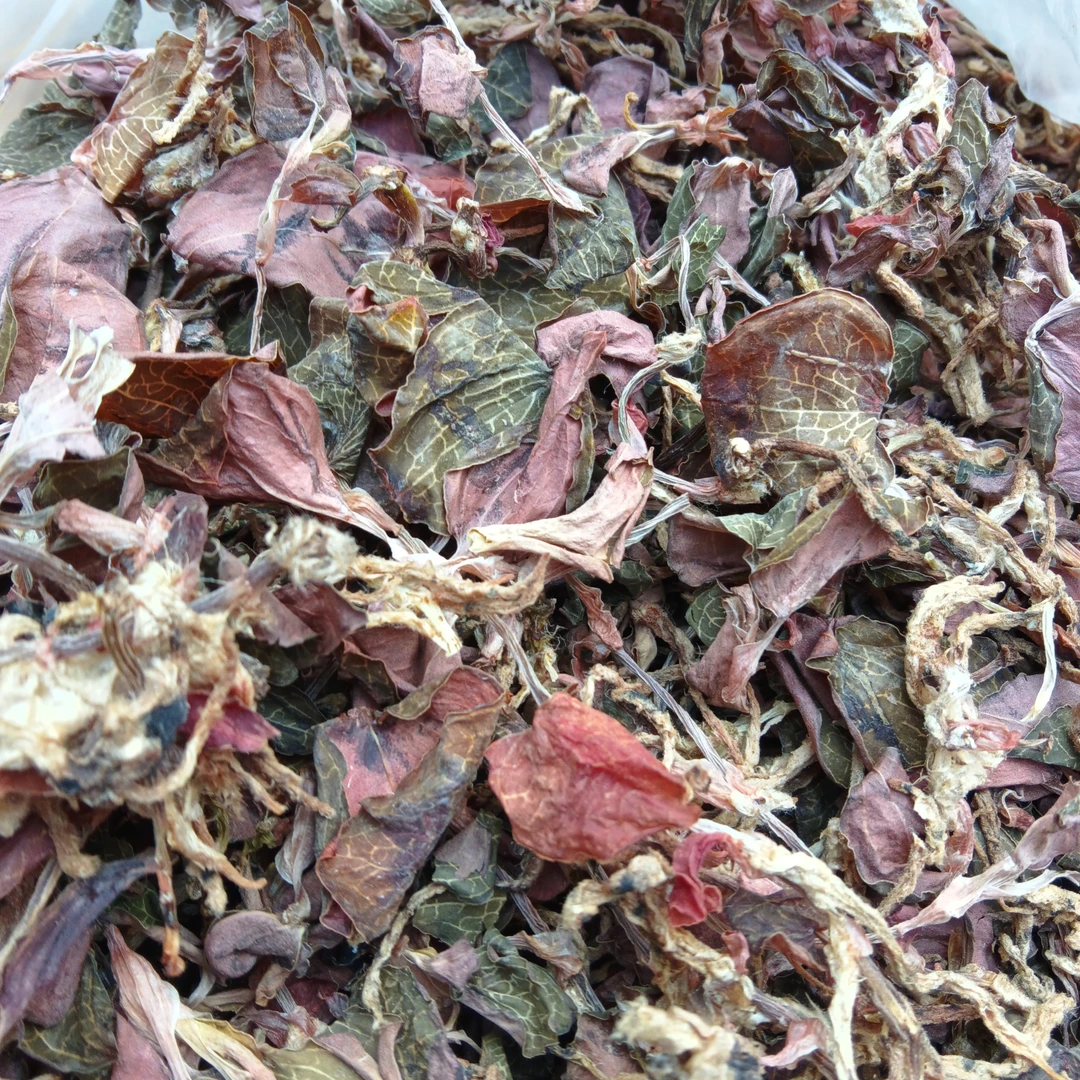 云乡土特产【小叶子金苋连】泡茶云南山货金云南干货卯