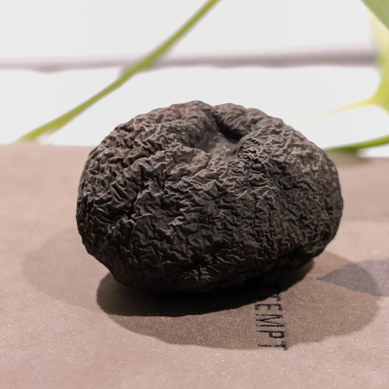 云乡土特产 【中乌灵参菌】云南干货农家农产品云南干货