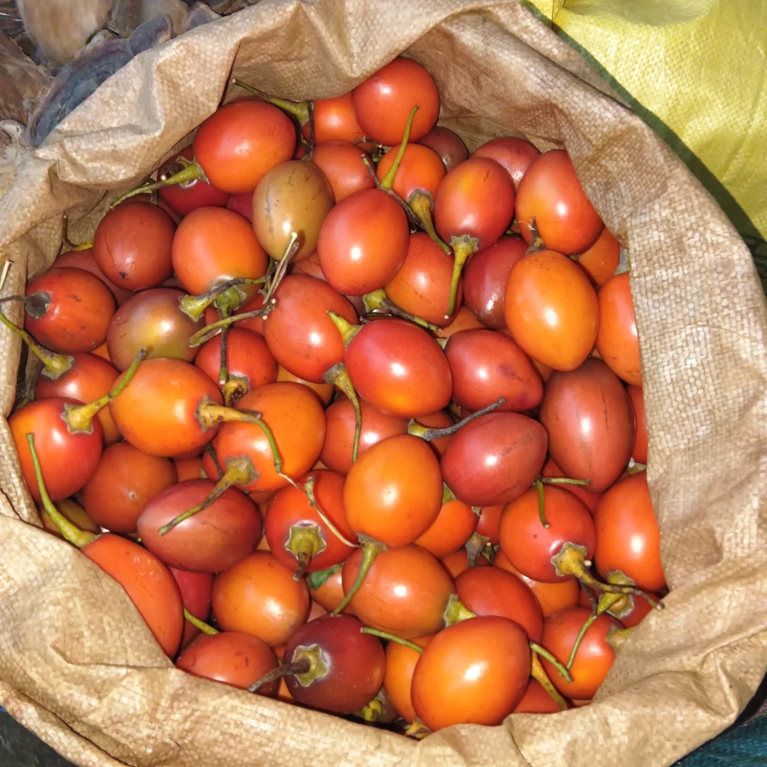 云乡土特产 【树番茄】云南干货农家农产品云南干货