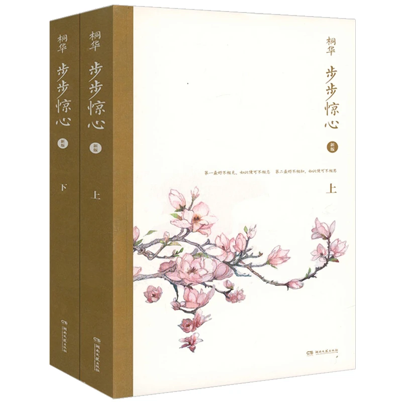 步步惊心2册桐华著刘诗诗吴奇隆等主演青春穿越古风言情小说书籍