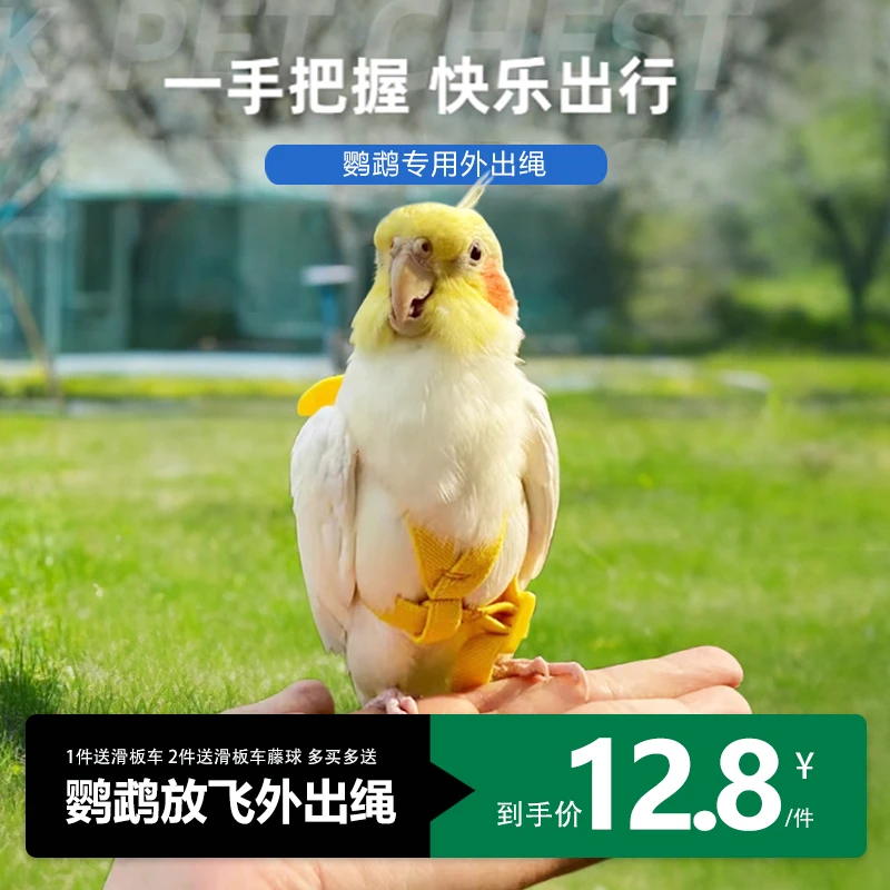 鸟用鹦鹉放飞绳玄凤虎皮牡丹牵引绳飞行外出背带遛鸟神器用品玩具