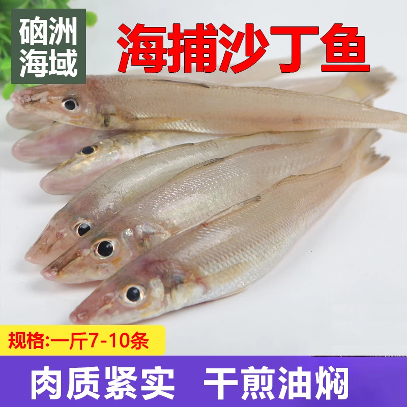 【广东省外】小船黄金沙丁鱼 一斤10条  沙锥沙尖鱼沙钻鱼 5斤5袋
