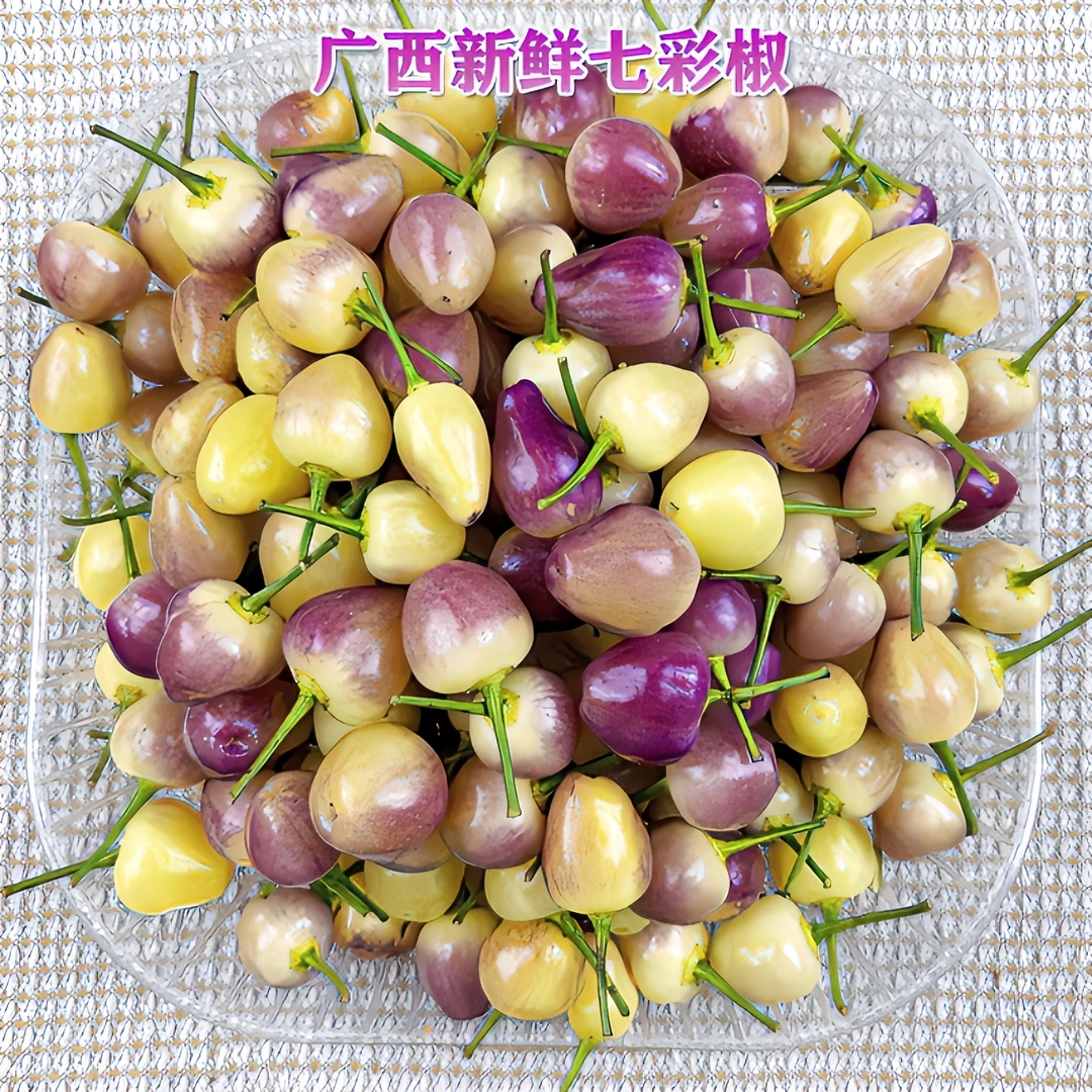 产品特产七彩椒五彩灯笼椒脆嫩肉厚腌制脆爽香辣酱香清脆种植美味