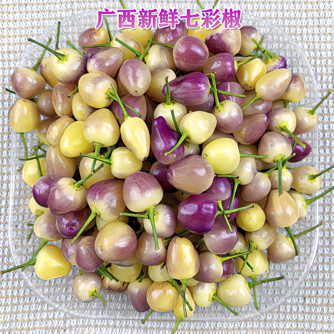 广西特产七彩椒酱香美味清脆肉厚腌制脆嫩天然产品种植干净