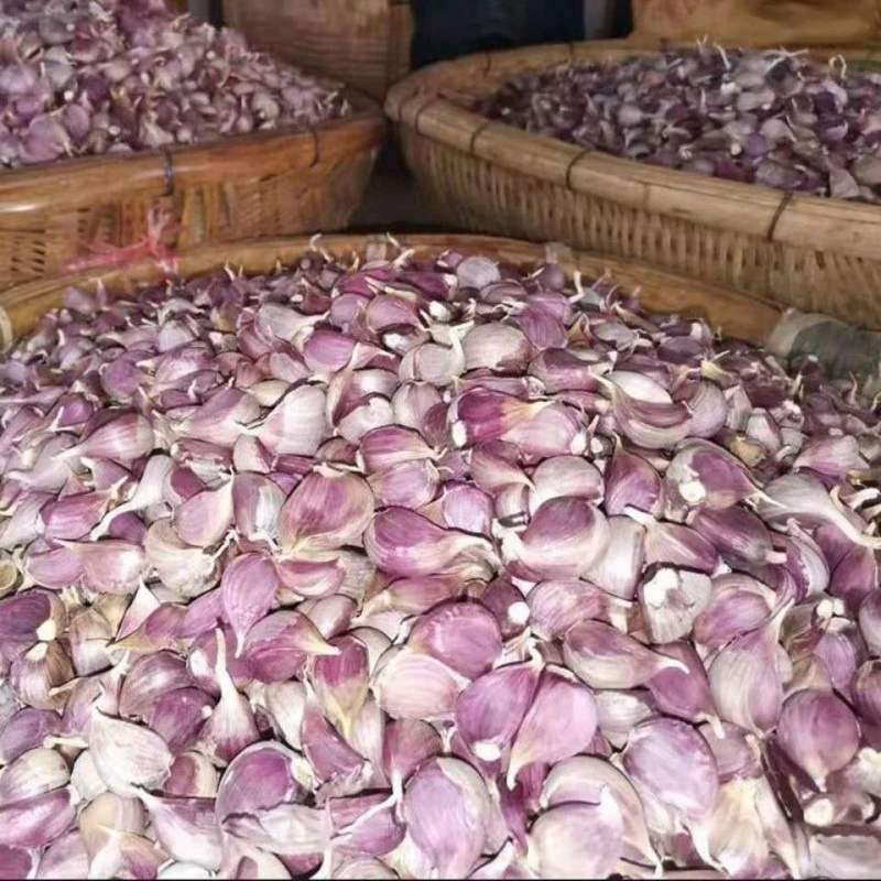 【振友】大蒜头批发 干蒜头云南紫皮香蒜蒜瓣土蒜蒜苔蒜可吃可