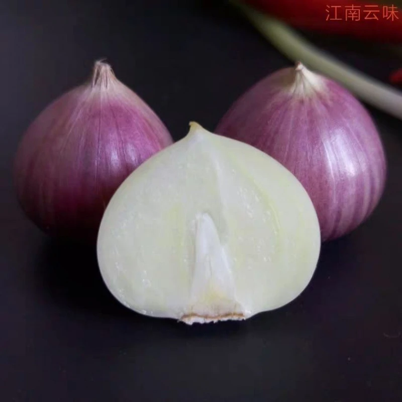 【振友】独蒜净重包邮头2022云南大理紫皮蒜头干大蒜红皮大蒜干非瓣