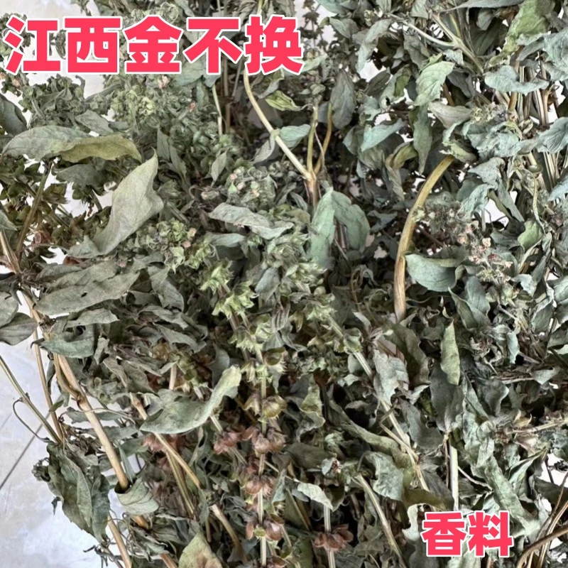 江西金不换九层塔香草干货配菜煮芋炒田螺配料香料50g包邮农家种