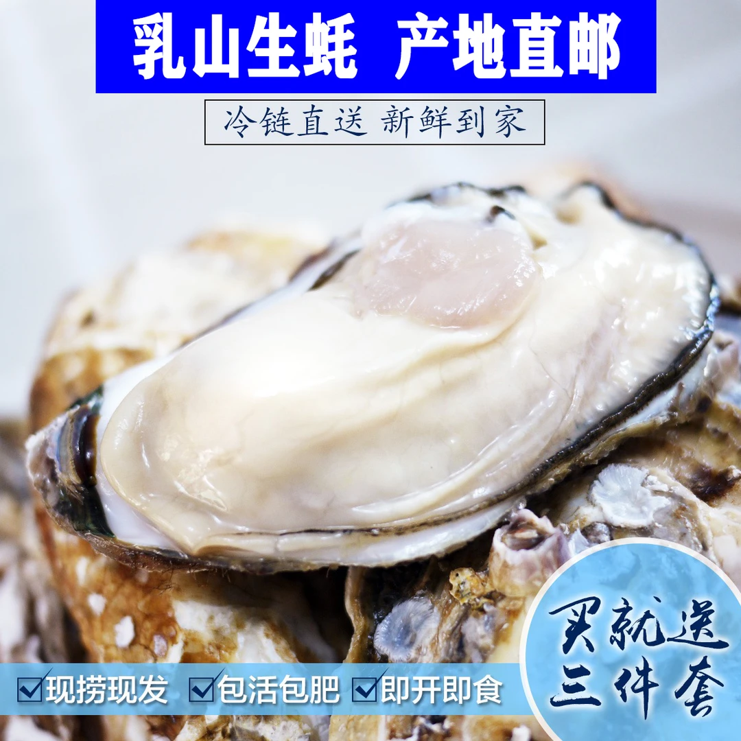 【京东】10斤礼盒装 乳山生蚝现捞  带壳牡蛎 鲜活海蛎子乳山直发
