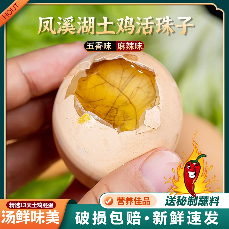 凤溪湖【粉丝专属】13天新鲜土鸡活珠子营养麻辣鸡胚蛋毛鸡蛋非毛蛋