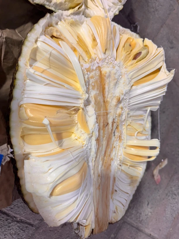 越南进口菠萝蜜福利大促