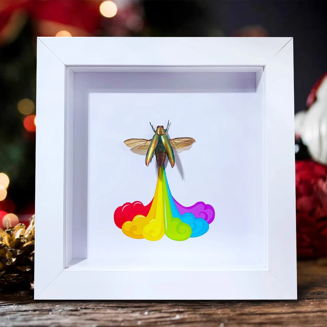合欢吉丁虫标本装饰画真昆虫展翅摆件彩虹屁创意礼物6寸木质画框