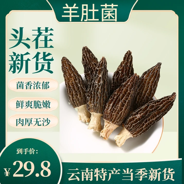 头茬羊肚菌自然风干营养当季新货煲汤（4-6cm)15g/袋品质菌香浓郁